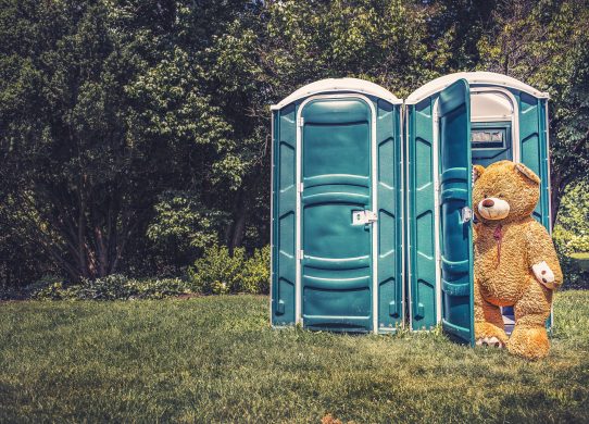 泰迪熊厕所